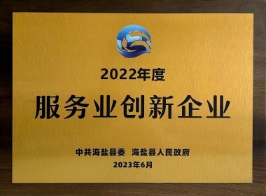 2022年度服务业立异企业