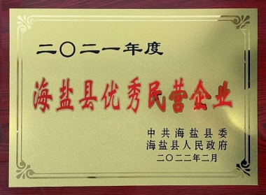 2021年度海盐县优异民营企业
