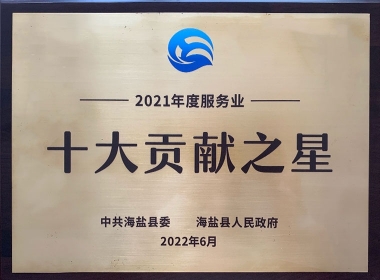 2021年度服务业十大孝顺之星