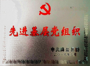 2018年先进党组织