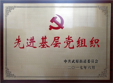 2017先进下层党组织