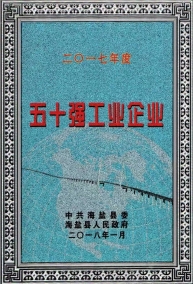 2017年度五十强工业企业