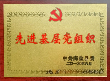 2016先进下层党组织