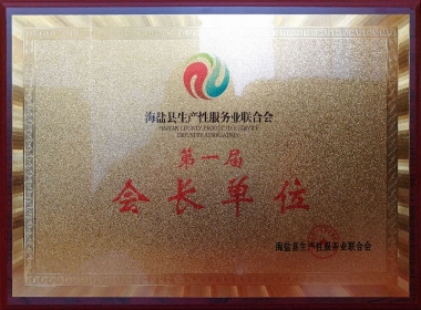 生产性服务业会长单位