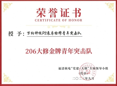 206大修金牌青年突击队