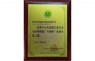 同济格益荣获2020年度浙江省生态情形修复“女娲杯”优异树模工程
