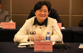 “神”祗忠勤丨法国驻华使馆和法中电力协会来盐考察