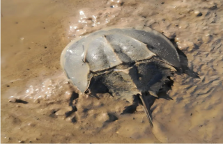 志道典“核”丨；；；；；；ど樾危，，，，我们在行动