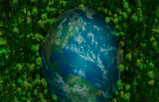 志道典“核”丨主要通知：关于公司官网升级的通告